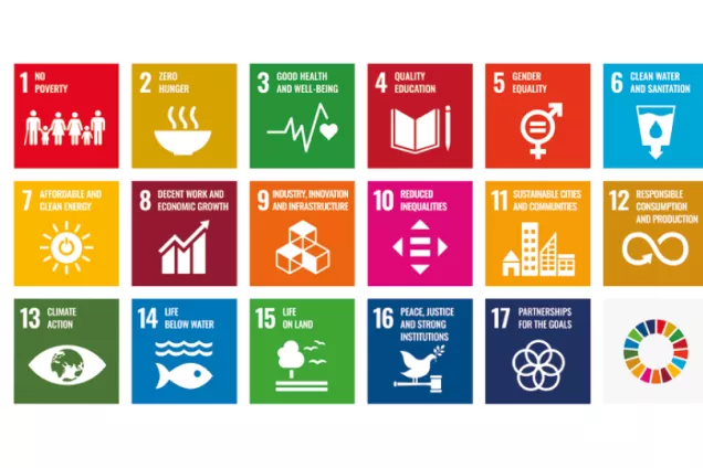 SDGs for article_0